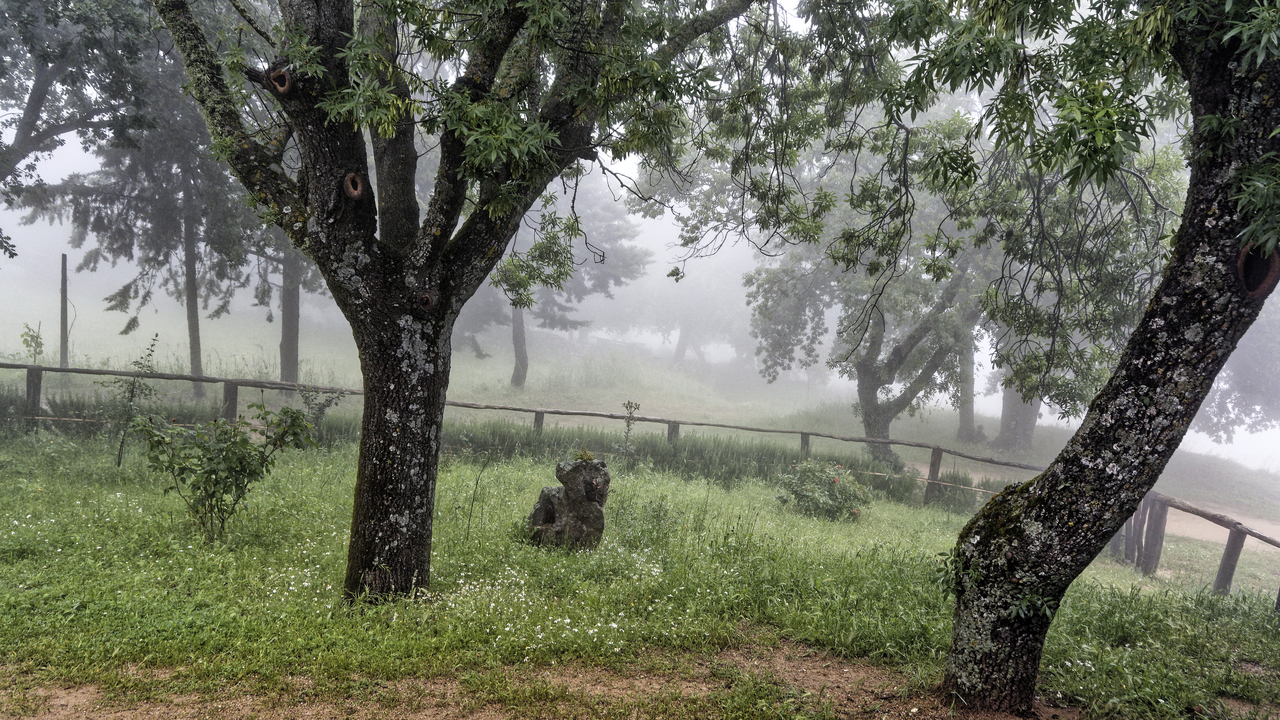 20230521 145835•Mamoiada•Sardinia•Italy